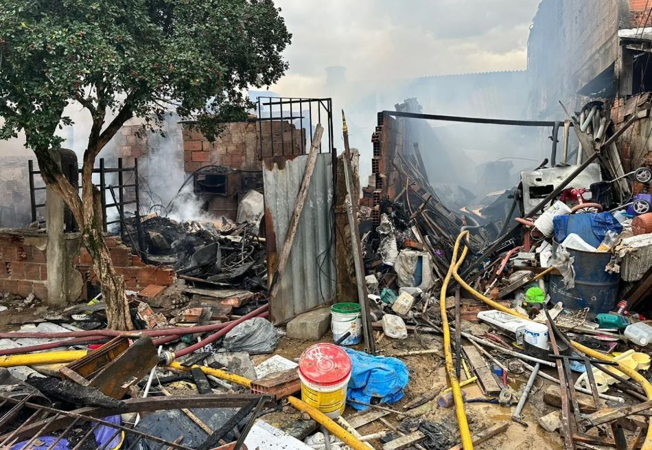 Incêndio em abrigo de cães deixa 12 animais mortos e proprietário ferido