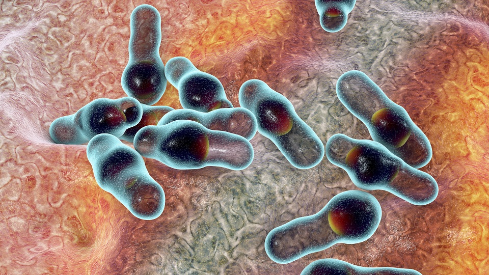 Brasil registra sexto caso de botulismo e duas mortes pela doença