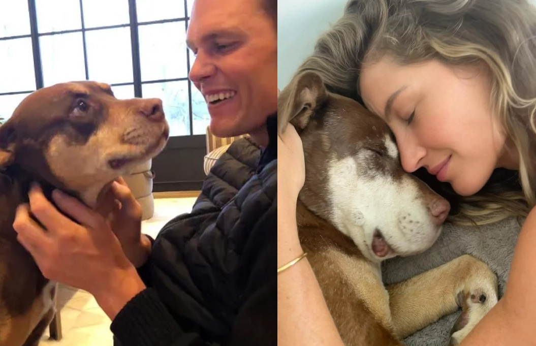 Tom Brady revela que clonou cão que teve com Gisele Bündchen