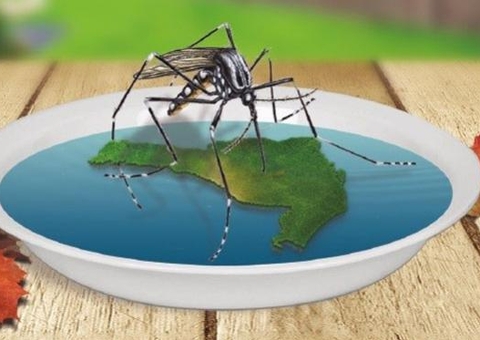 Até novembro, Brasil registrou quase 100 mil casos suspeitos de dengue