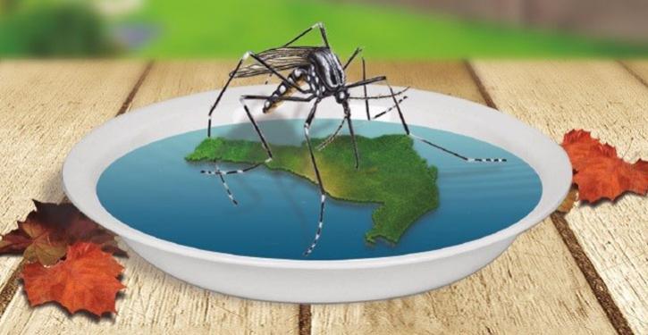 Até novembro, Brasil registrou quase 100 mil casos suspeitos de dengue