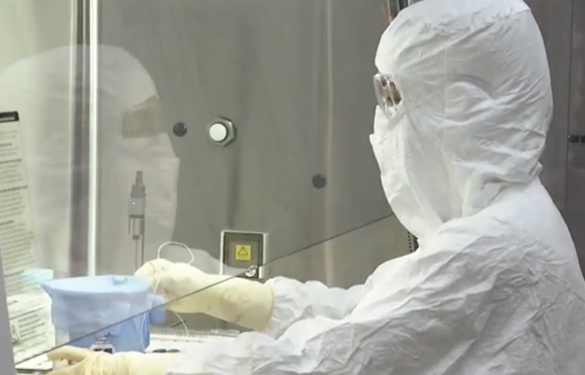 Instituto Butantan vai produzir soro anti-covid que usa plasma de cavalos  