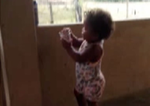 Criança de 1 ano morre após ser mordida por chow chow 