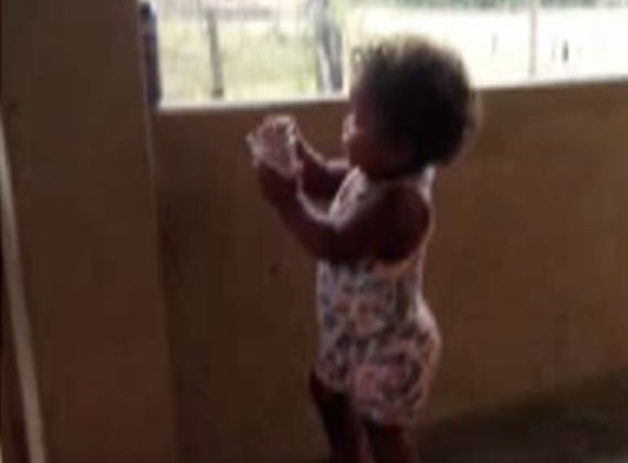 Criança de 1 ano morre após ser mordida por chow chow 