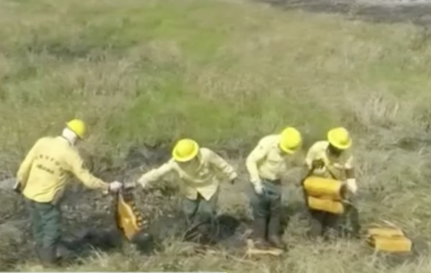 Brigadistas do Ibama voltam ao trabalho após Governo liberar R$ 16 milhões 