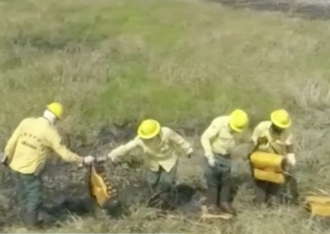 Brigadistas do Ibama voltam ao trabalho após Governo liberar R$ 16 milhões 