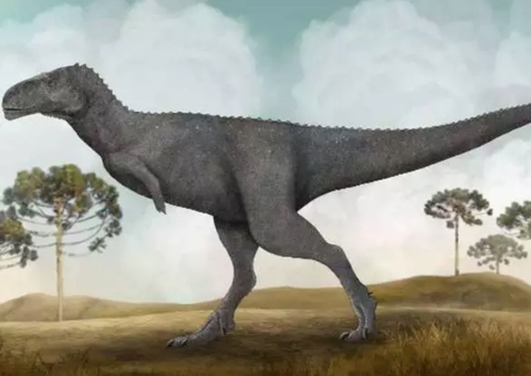 Fóssil achado em MG pode revelar novidades sobre dinossauros