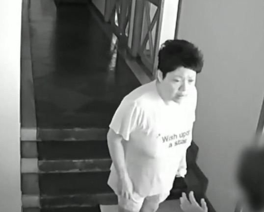 Embaixadora das Filipinas no Brasil é flagrada agredindo funcionária