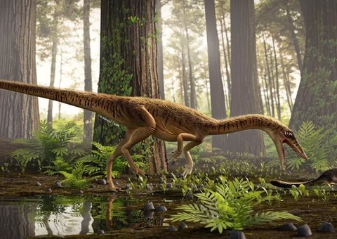 Fóssil de um dos dinossauros mais antigos do mundo é descoberto no Brasil