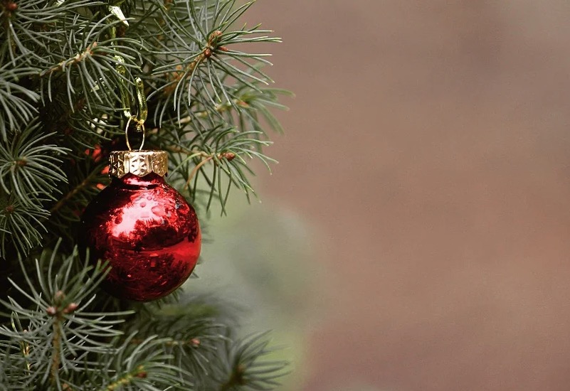 20 ideias de mensagens de Natal para enviar por Whatsapp