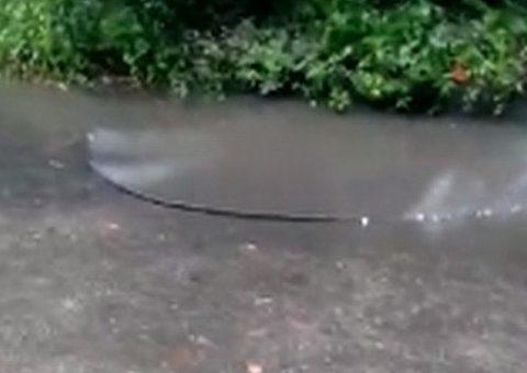 Homem morre em frente à filha ao tirar fio de pista na chuva