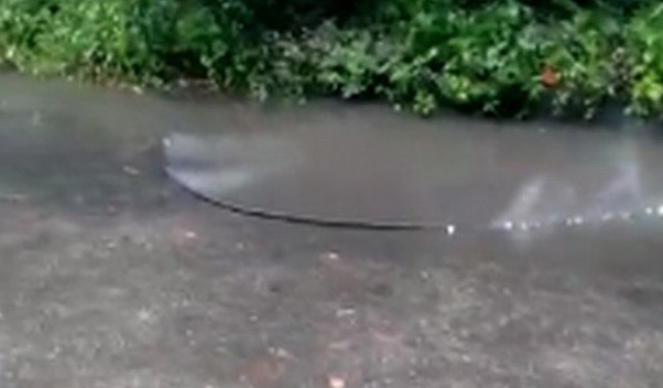 Homem morre em frente à filha ao tirar fio de pista na chuva