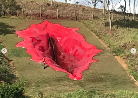 Conheça a vagina de 33 metros que está dando o que falar na internet