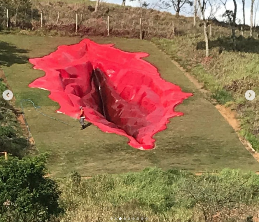 Conheça a vagina de 33 metros que está dando o que falar na internet