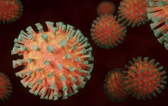 Bahia tem caso suspeito de reinfecção por coronavírus com cepa da África