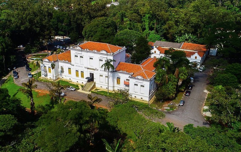 Instituto Butantan faz testes de soro em animais para tratar covid-19