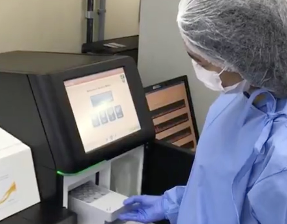 21 variantes do coronavírus circulam por São Paulo, afirma Instituto 