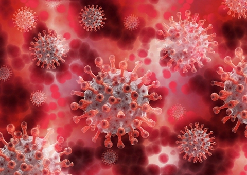 Pesquisadores estudam proteína capaz de proteger os pulmões da Covid