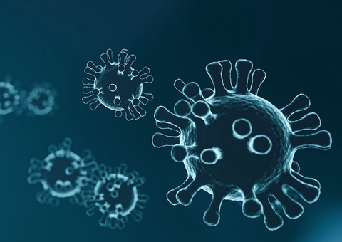 Brasil registra 1.031 mortes nas últimas 24 horas