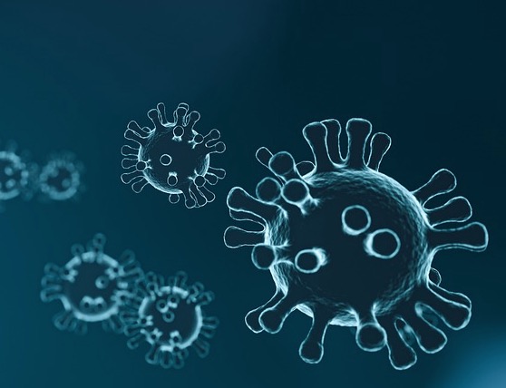 Brasil registra 1.031 mortes nas últimas 24 horas