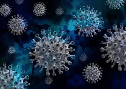 Nova linhagem da Covid-19 é encontrada no Rio de Janeiro