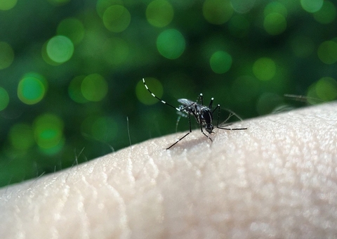 Verão e pandemia podem agravar casos de dengue, zika e chikungunya