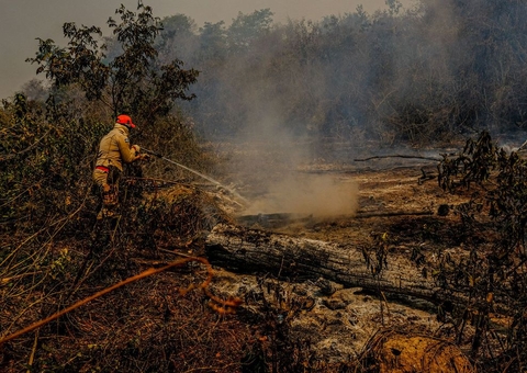 Fogo já destruiu 3,461 milhões de hectares do Pantanal