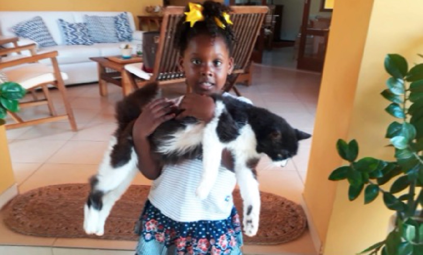 Menina de 5 anos morre após marquise cair sobre suas costas 