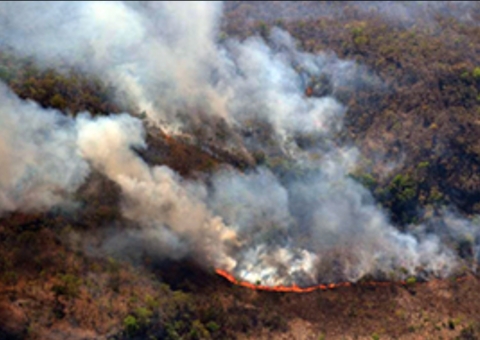 PT pede envio de pessoal e recursos para combate de queimadas no Pantanal 
