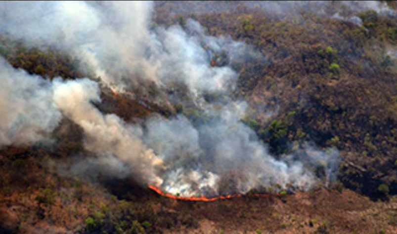 PT pede envio de pessoal e recursos para combate de queimadas no Pantanal 
