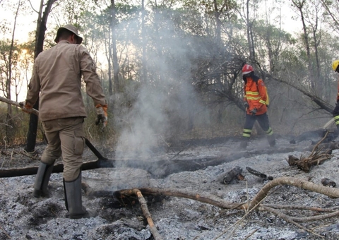 Incêndio no Pantanal começou em grandes fazendas, aponta investigação da PF
