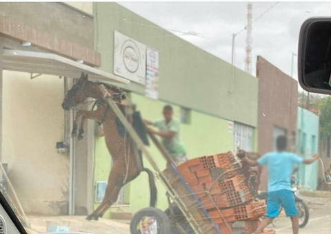 Com excesso de peso, burro fica pendurado em carroça em cena chocante