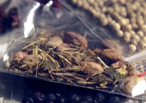 Praga é encontrada em sementes misteriosas recebidas por brasileiros