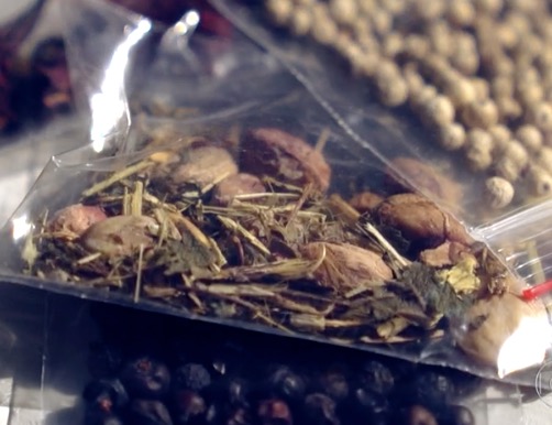 Praga é encontrada em sementes misteriosas recebidas por brasileiros