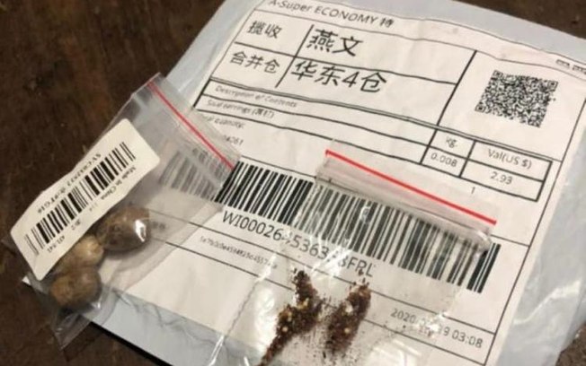 PF investiga mais de 30 denúncias de pacotes de sementes da China