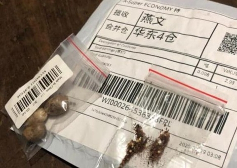 PF investiga mais de 30 denúncias de pacotes de sementes da China