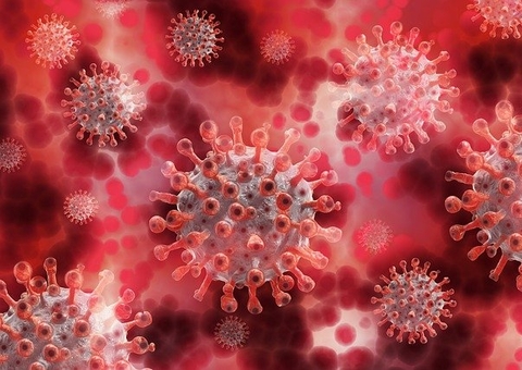 Estudo revela presença do novo coronavírus no Brasil desde 2019