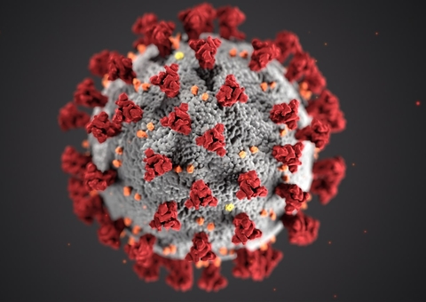 Covid-19: Brasil tem 7,71 milhões de casos e 195,7 mil mortes