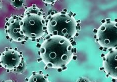 Russia anuncia acordo para oferecer antiviral contra a Covid-19 ao Brasil 