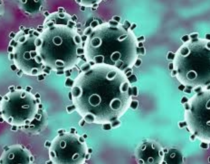 Russia anuncia acordo para oferecer antiviral contra a Covid-19 ao Brasil 