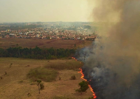 Em diligência no Pantanal, senadores dizem que cenário é devastador
