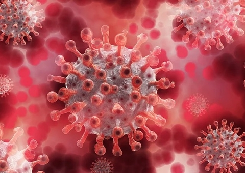 Brasil tem 869 mortes por coronavírus nas últimas 24 horas