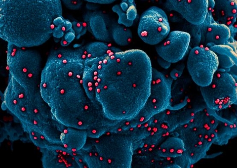 Grupo vindo do Brasil é  diagnosticado com variante do coronavírus no Japão