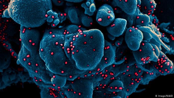 Grupo vindo do Brasil é  diagnosticado com variante do coronavírus no Japão