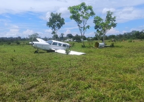 Avião parte ao meio após colidir com vaca 