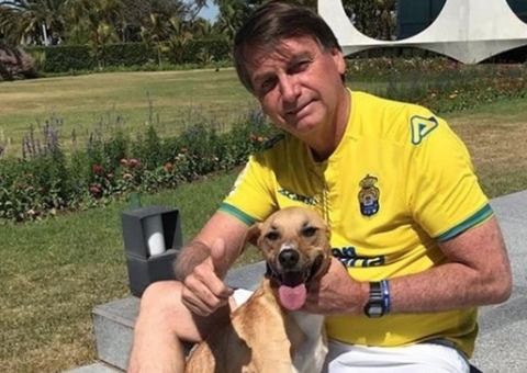 Sancionada lei que aumenta pena de prisão a quem maltratar cães e gatos