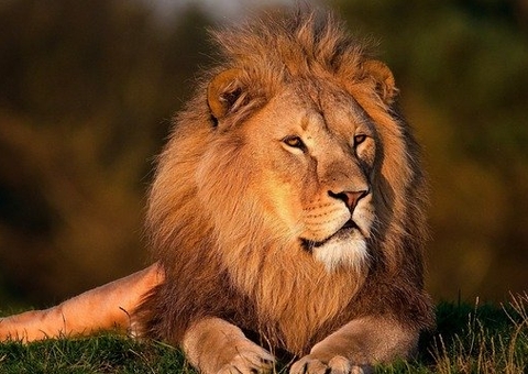 Receita libera consulta ao último lote de restituição do IR; saiba mais