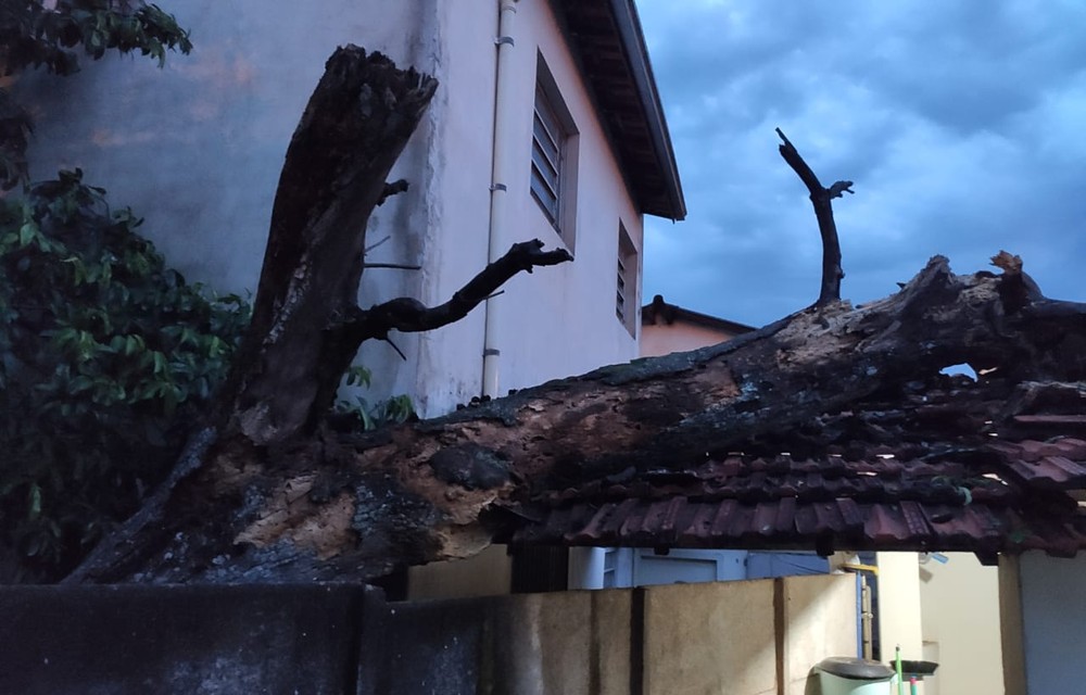 Homem morre eletrocutado enquanto limpava calha de casa durante chuva