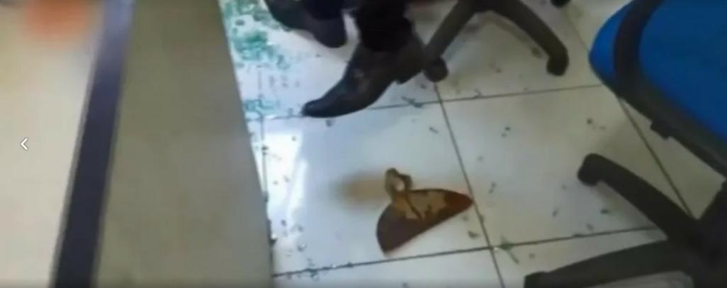 Vídeo: enxada é arremessada em direção a prefeito na cerimônia de posse