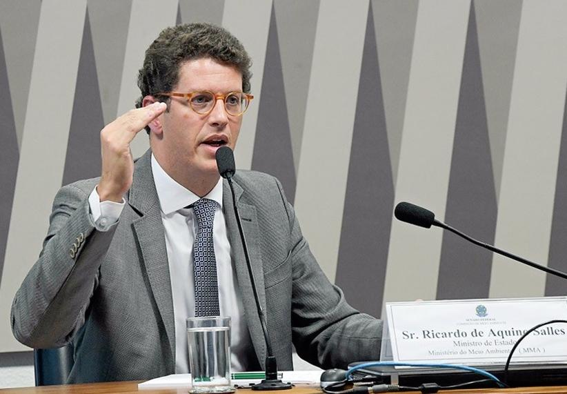 Salles aprova extinção de regras que protegiam manguezais e restingas